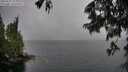 ./images/koeye/fitz-hugh/20250627/fitz-hugh20250627_153011M.jpg