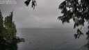 ./images/koeye/fitz-hugh/20250627/fitz-hugh20250627_153510M.jpg