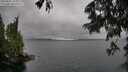 ./images/koeye/fitz-hugh/20250627/fitz-hugh20250627_155011M.jpg