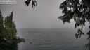 ./images/koeye/fitz-hugh/20250627/fitz-hugh20250627_162011M.jpg