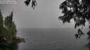 ./images/koeye/fitz-hugh/20250627/fitz-hugh20250627_162510M.jpg