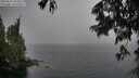 ./images/koeye/fitz-hugh/20250627/fitz-hugh20250627_163510M.jpg