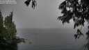 ./images/koeye/fitz-hugh/20250627/fitz-hugh20250627_164011M.jpg