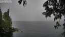 ./images/koeye/fitz-hugh/20250627/fitz-hugh20250627_164511M.jpg