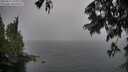 ./images/koeye/fitz-hugh/20250627/fitz-hugh20250627_165510M.jpg