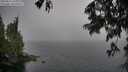 ./images/koeye/fitz-hugh/20250627/fitz-hugh20250627_170012M.jpg