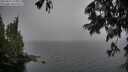 ./images/koeye/fitz-hugh/20250627/fitz-hugh20250627_170506M.jpg
