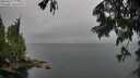 ./images/koeye/fitz-hugh/20250627/fitz-hugh20250627_174010M.jpg