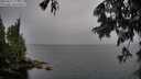 ./images/koeye/fitz-hugh/20250627/fitz-hugh20250627_174511M.jpg