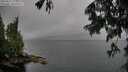 ./images/koeye/fitz-hugh/20250627/fitz-hugh20250627_175509M.jpg