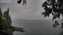 ./images/koeye/fitz-hugh/20250627/fitz-hugh20250627_185010M.jpg