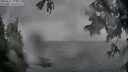 ./images/koeye/fitz-hugh/20250627/fitz-hugh20250627_194009M.jpg