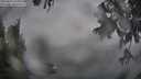 ./images/koeye/fitz-hugh/20250627/fitz-hugh20250627_195010M.jpg