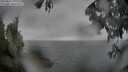 ./images/koeye/fitz-hugh/20250627/fitz-hugh20250627_200009M.jpg