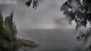 ./images/koeye/fitz-hugh/20250627/fitz-hugh20250627_201008M.jpg