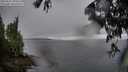 ./images/koeye/fitz-hugh/20250627/fitz-hugh20250627_204507M.jpg