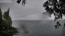 ./images/koeye/fitz-hugh/20250627/fitz-hugh20250627_211009M.jpg
