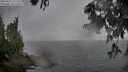 ./images/koeye/fitz-hugh/20250627/fitz-hugh20250627_211508M.jpg