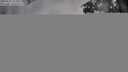 ./images/koeye/fitz-hugh/20250627/fitz-hugh20250627_212009M.jpg