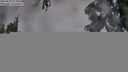 ./images/koeye/fitz-hugh/20250627/fitz-hugh20250627_214009M.jpg