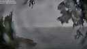 ./images/koeye/fitz-hugh/20250627/fitz-hugh20250627_214508M.jpg