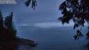 ./images/koeye/fitz-hugh/20250627/fitz-hugh20250627_222508M.jpg