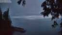 ./images/koeye/fitz-hugh/20250627/fitz-hugh20250627_223008M.jpg