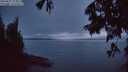 ./images/koeye/fitz-hugh/20250627/fitz-hugh20250627_223509M.jpg