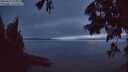 ./images/koeye/fitz-hugh/20250627/fitz-hugh20250627_224007M.jpg