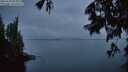 ./images/koeye/fitz-hugh/20250628/fitz-hugh20250628_044009M.jpg
