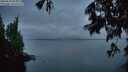 ./images/koeye/fitz-hugh/20250628/fitz-hugh20250628_044507M.jpg