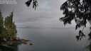 ./images/koeye/fitz-hugh/20250628/fitz-hugh20250628_053509M.jpg