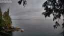 ./images/koeye/fitz-hugh/20250628/fitz-hugh20250628_054009M.jpg