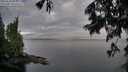 ./images/koeye/fitz-hugh/20250628/fitz-hugh20250628_060011M.jpg