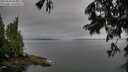 ./images/koeye/fitz-hugh/20250628/fitz-hugh20250628_064510M.jpg