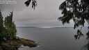 ./images/koeye/fitz-hugh/20250628/fitz-hugh20250628_071009M.jpg