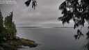 ./images/koeye/fitz-hugh/20250628/fitz-hugh20250628_072011M.jpg