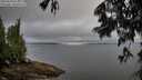 ./images/koeye/fitz-hugh/20250628/fitz-hugh20250628_075011M.jpg