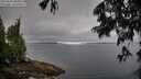 ./images/koeye/fitz-hugh/20250628/fitz-hugh20250628_080510M.jpg