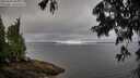 ./images/koeye/fitz-hugh/20250628/fitz-hugh20250628_081011M.jpg