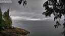 ./images/koeye/fitz-hugh/20250628/fitz-hugh20250628_082010M.jpg