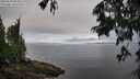 ./images/koeye/fitz-hugh/20250628/fitz-hugh20250628_083510M.jpg