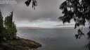 ./images/koeye/fitz-hugh/20250628/fitz-hugh20250628_084007M.jpg