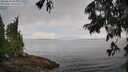 ./images/koeye/fitz-hugh/20250628/fitz-hugh20250628_085009M.jpg