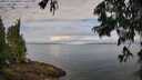 ./images/koeye/fitz-hugh/20250628/fitz-hugh20250628_090510M.jpg