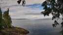 ./images/koeye/fitz-hugh/20250628/fitz-hugh20250628_091010M.jpg