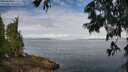 ./images/koeye/fitz-hugh/20250628/fitz-hugh20250628_093506M.jpg
