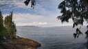 ./images/koeye/fitz-hugh/20250628/fitz-hugh20250628_094511M.jpg
