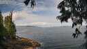 ./images/koeye/fitz-hugh/20250628/fitz-hugh20250628_095010M.jpg