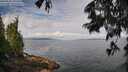 ./images/koeye/fitz-hugh/20250628/fitz-hugh20250628_095510M.jpg